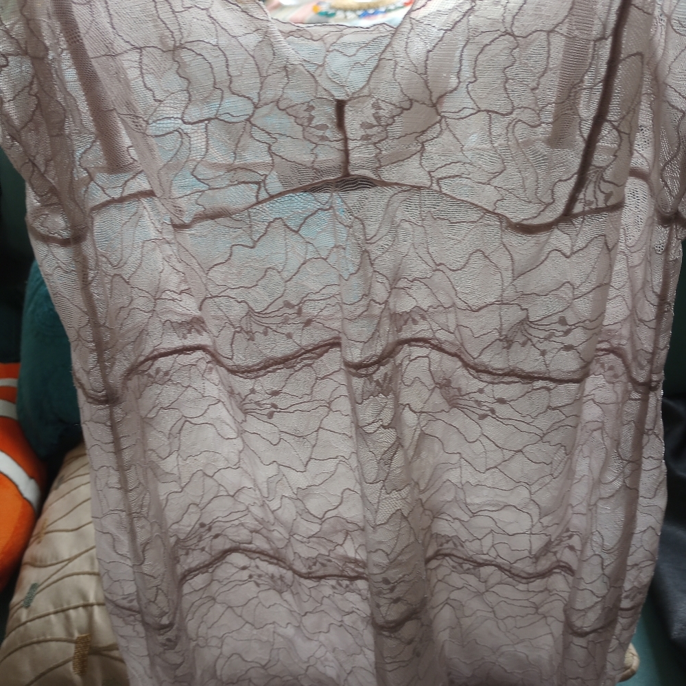 Samantha chang lace slip